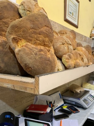 Pane di Altamura ( Forno Antico S. Chiara / Altamura )